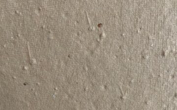 blue petal seed paper- grupoblkmbrown color seedpaper-grupoblkm