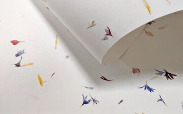 petal-paper-GRUPOBLKM