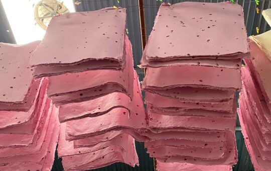 blue petal seed paper- grupoblkmbrown color seedpaper-grupoblkm